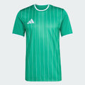 ADIDAS ENTRADA 26 GRAPHIC MAGLIA